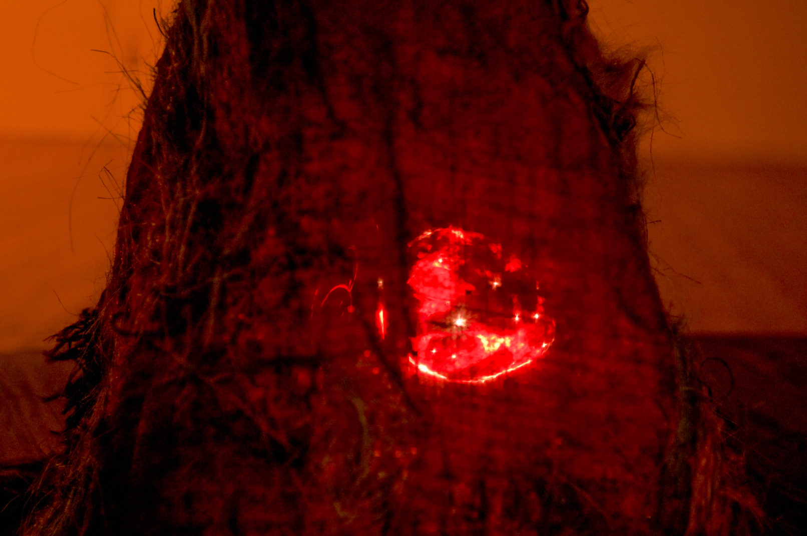 夜の目／心臓-2